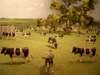 Thumbs/tn_1 Farmdiorama 4.jpg